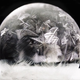 Illustration for article titled Savor the Ephemeral Beauty of These Frozen Soap Bubbles
